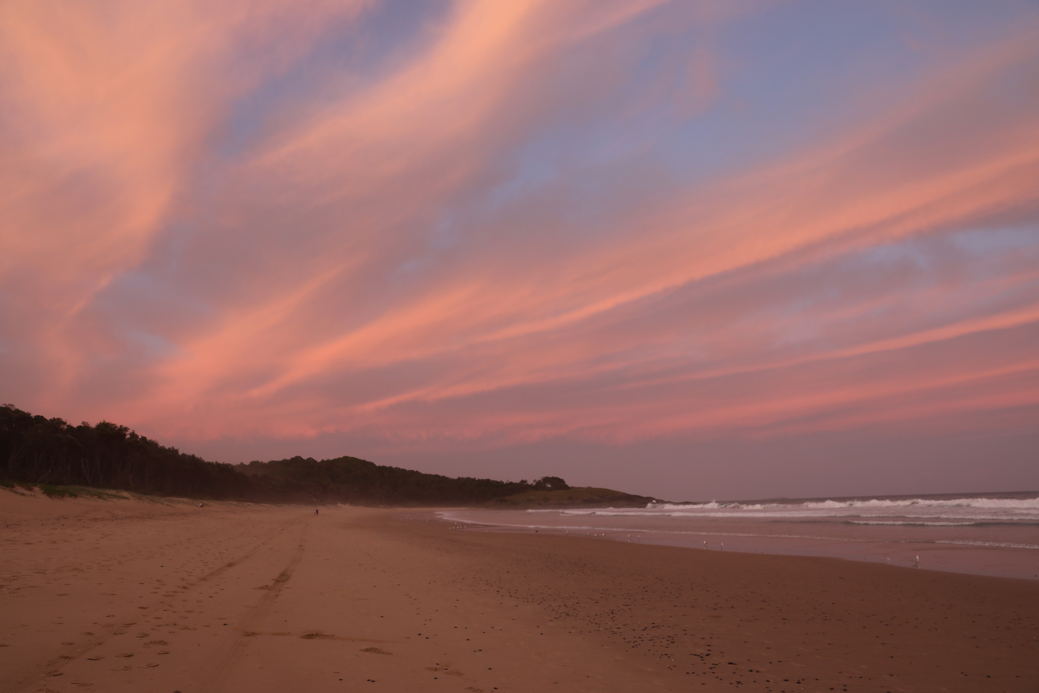 Eine tolle Wanderung durch den Regenwald